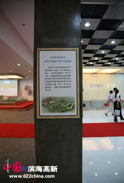 濱海高新區(qū)軟件與服務(wù)外包產(chǎn)業(yè)基地今日開園，開啟軟件外包服務(wù)新篇章